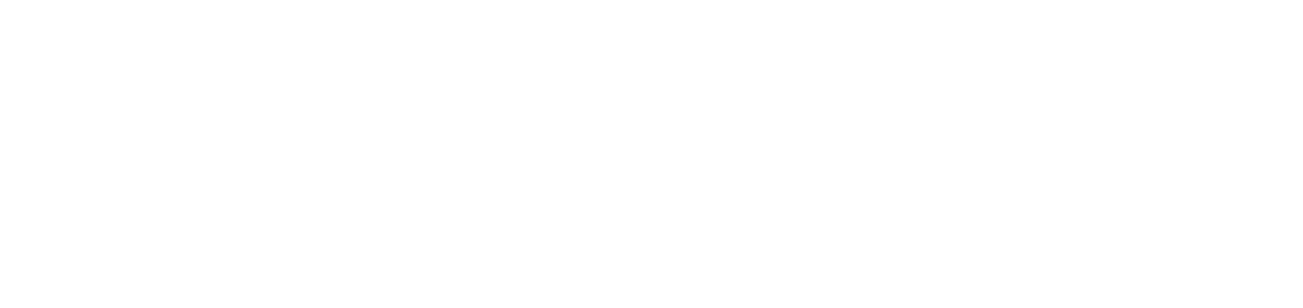 TheNetwork